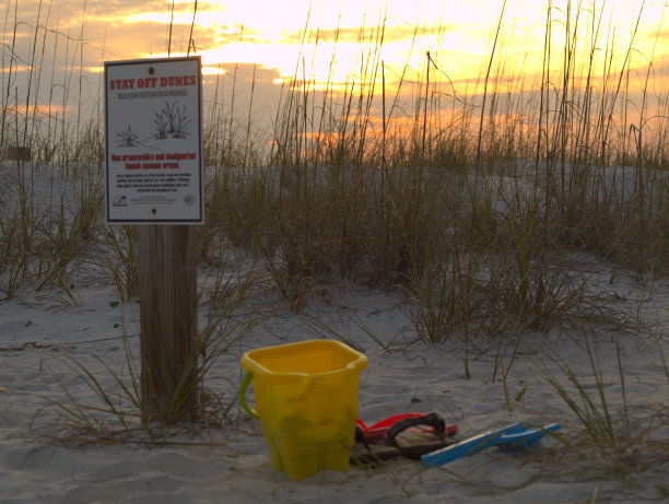 日落海滩上图片下载