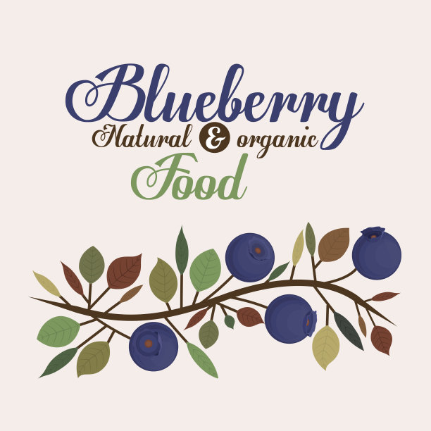 蓝莓设计图片下载
