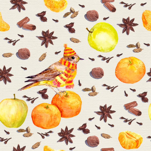 水彩冬季香料和水果-苹果，柑橘与鸟图片下载