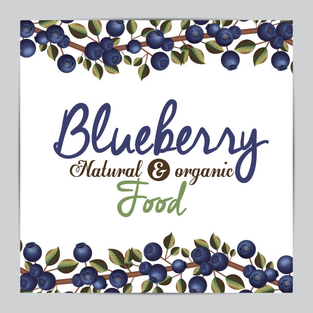 蓝莓设计图片下载