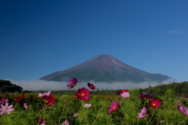 盛夏的富士山与宇宙图片下载