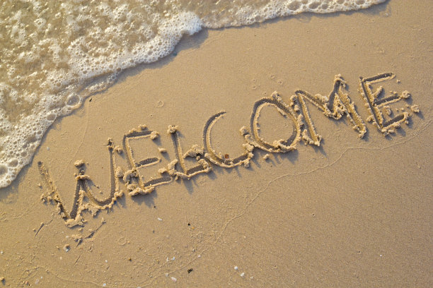 绿色草地上的足球图片下载