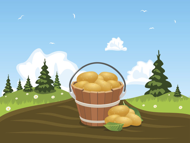 装满收获的土豆的木桶图片下载