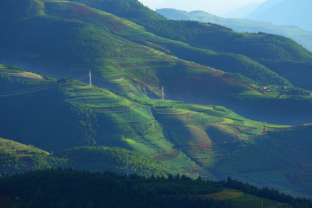 美丽的光线在早晨与红色的土壤和田野图片下载