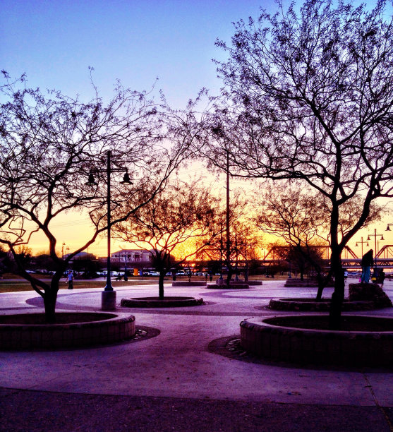 公园里的日落图片下载