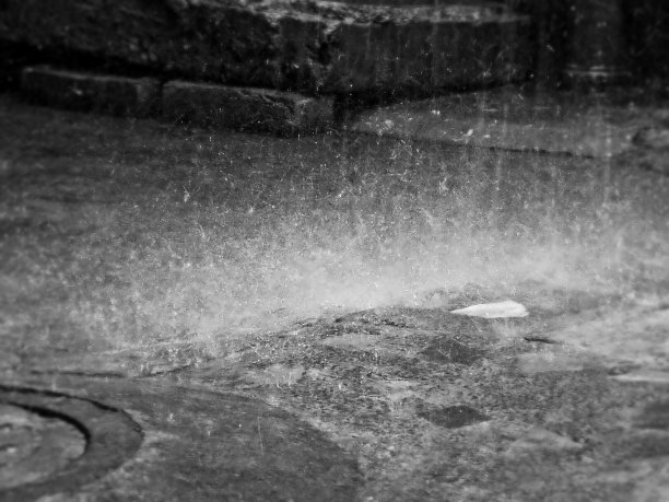 飞溅的夏天。图片下载