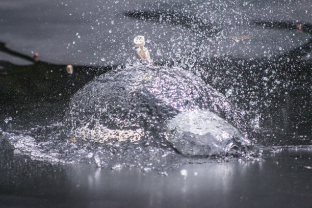 水气球图片下载