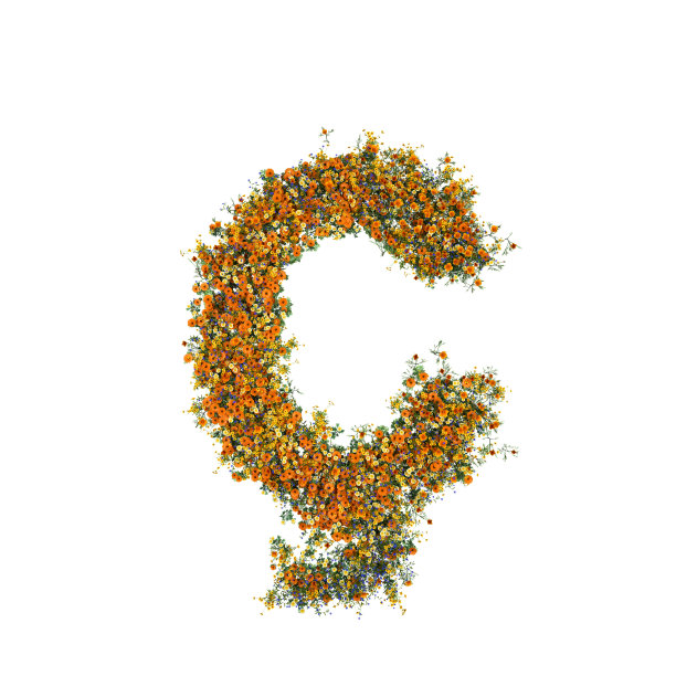 信Ç的花和草在白色的背景图片下载