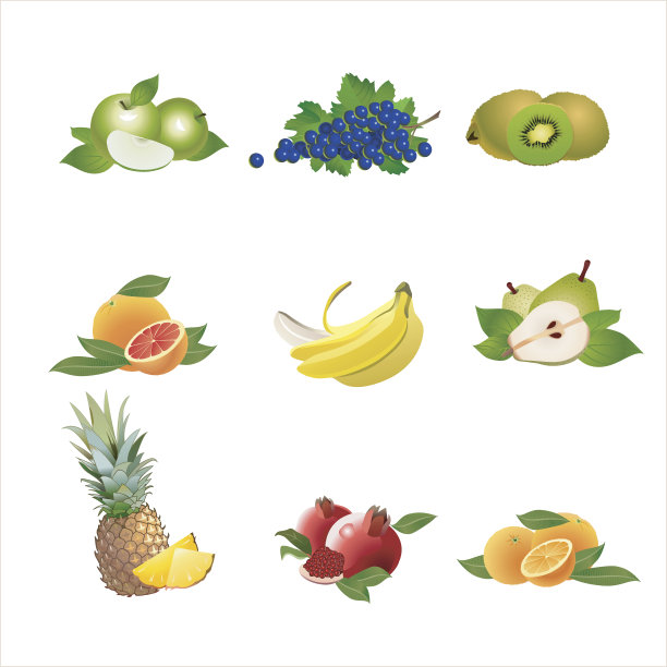 矢量水果在白色的背景图片下载