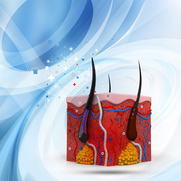 人体皮肤解剖截面图片下载