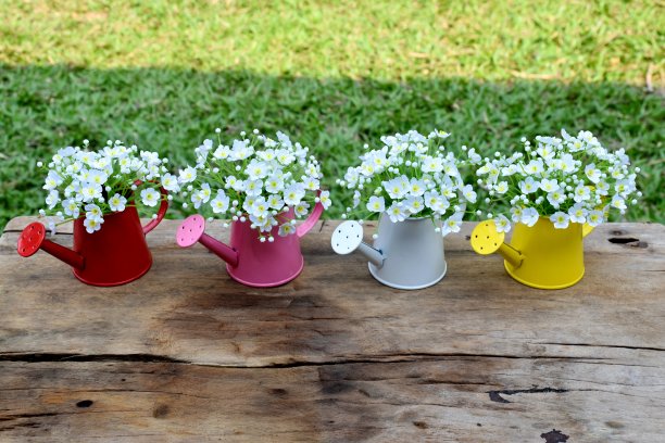 花瓶里的白花图片下载