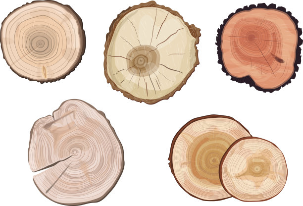 树轮矢量图图片下载