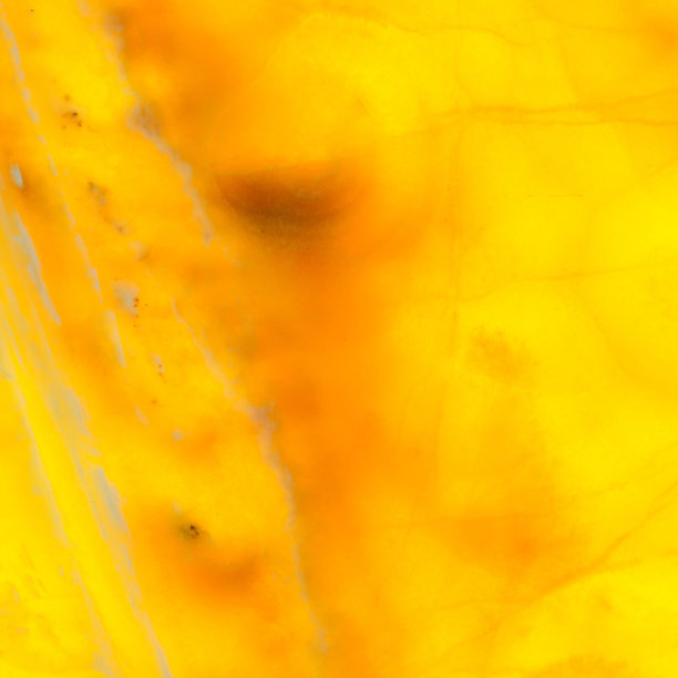 非常明亮的橙色自然背景图片下载