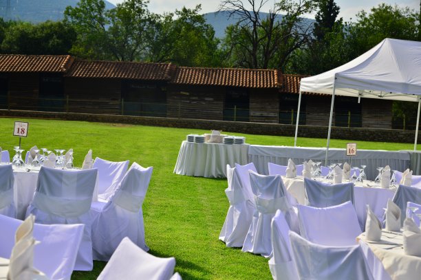 白色婚礼乡村餐饮图片下载