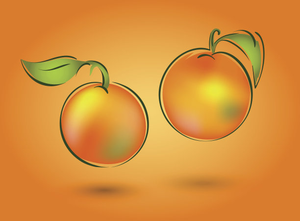 橙色背景上的两个桔子。图片下载