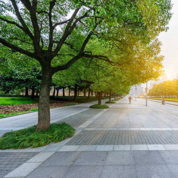 金融区的城市广场图片下载