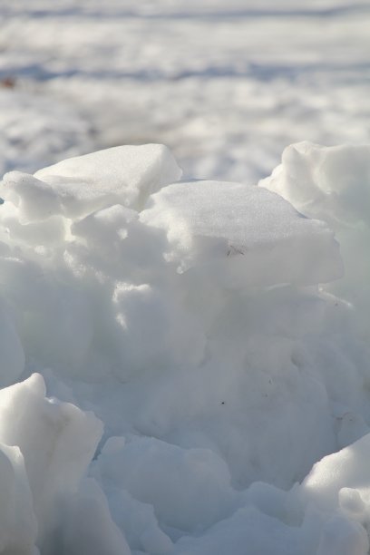 冬天雪图片下载