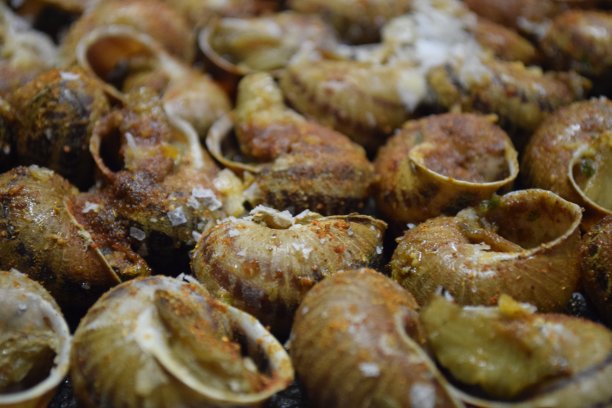 煮蜗牛delicay图片下载