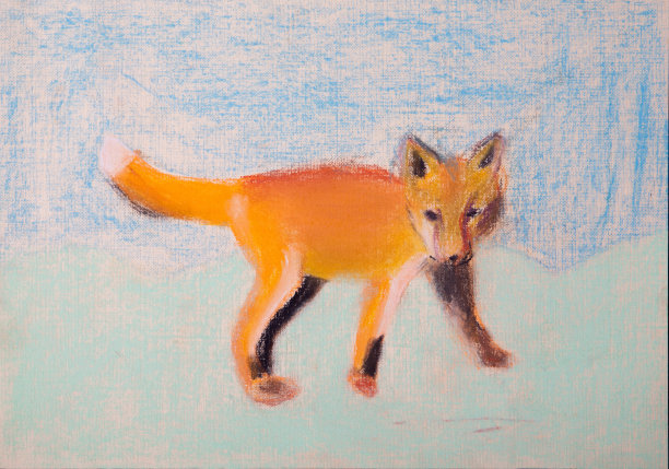 小狐狸的照片图片下载