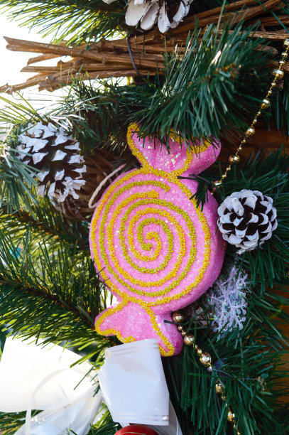 大的粉红色糖果，冷杉树枝，球果图片下载