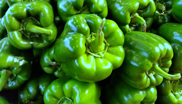 一堆青椒图片下载