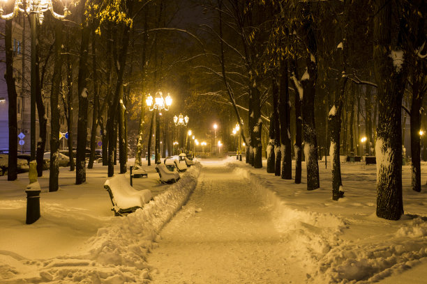 公园里一条被雪覆盖的小巷。乌克兰哈尔科夫。图片下载