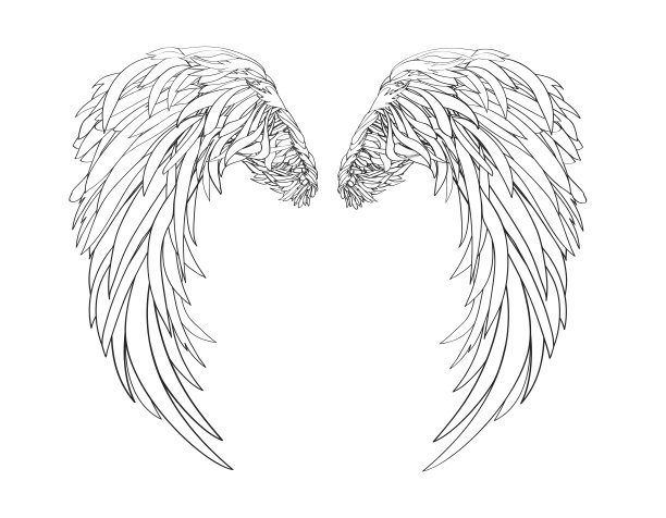 翅膀。矢量插图上的白色背景。黑色和白色素材图片