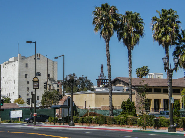 棒棒糖的手掌拉图片下载