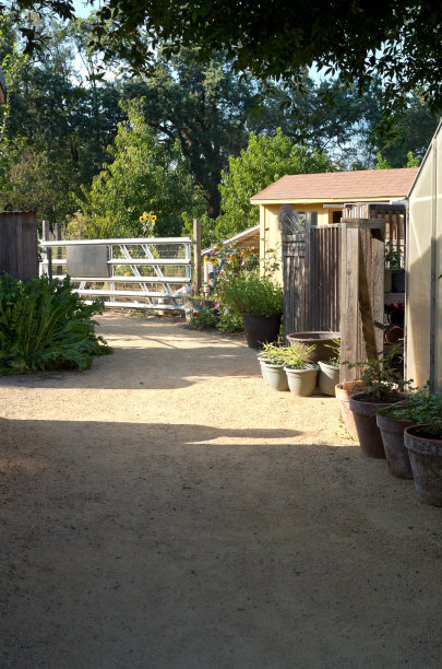 花园棚植物和树林图片下载
