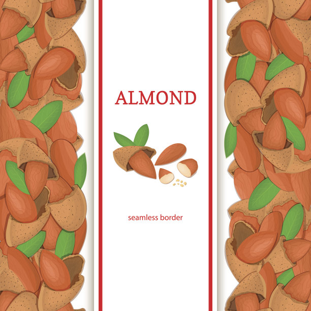 杏仁果垂直无缝边框。矢量插图与构图图片下载