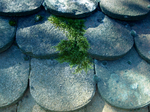 遮阳的古瓦片屋顶图片下载