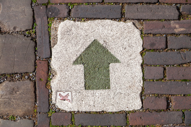 荷兰的砖，鹅卵石路图片下载