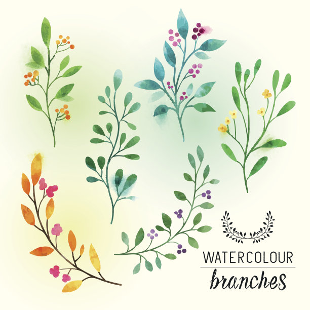 水彩花卉分支图片下载