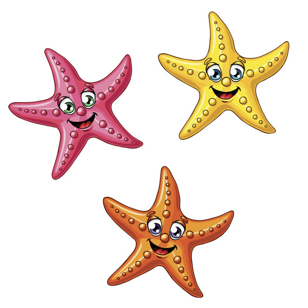 三只多色海星图片下载