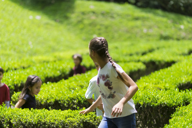 快乐玩耍的孩子图片下载