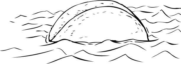 漂浮在水中的塔可的轮廓图片下载