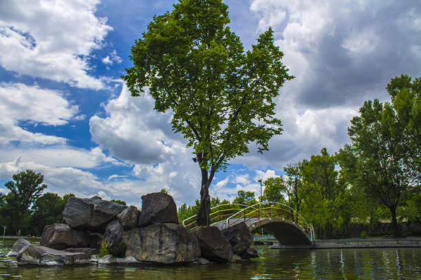 树在云图片下载