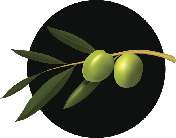 橄榄枝。矢量图图片下载