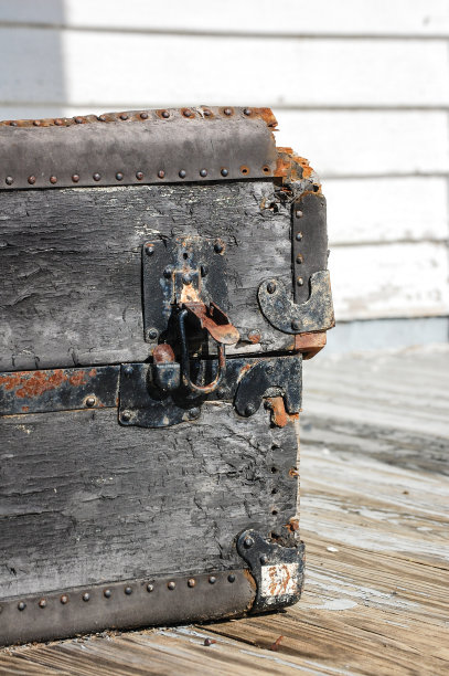 废弃的树干图片下载