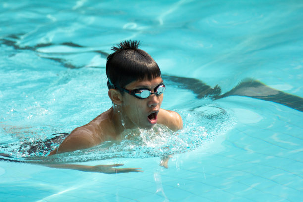 蛙泳游泳。图片下载