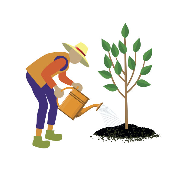 园丁浇灌树图片下载