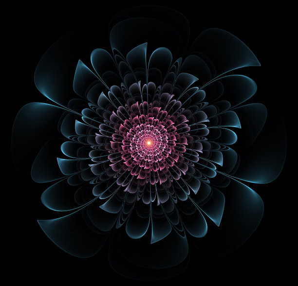 原始分形花插图在黑色的背景图片下载