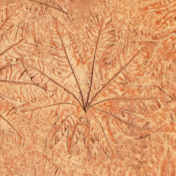 混凝土上有叶子的痕迹图片下载