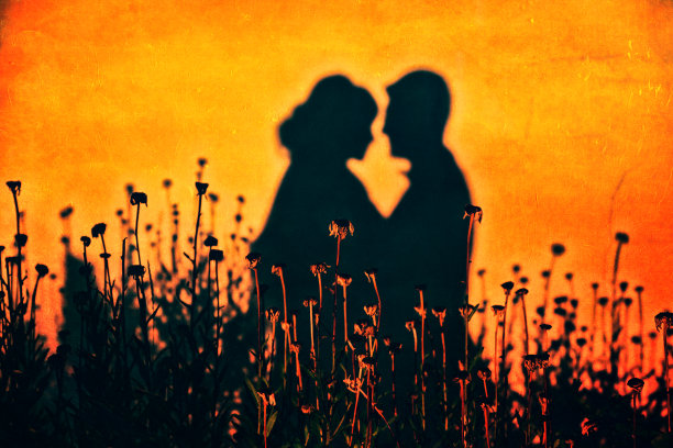 光与影图片下载