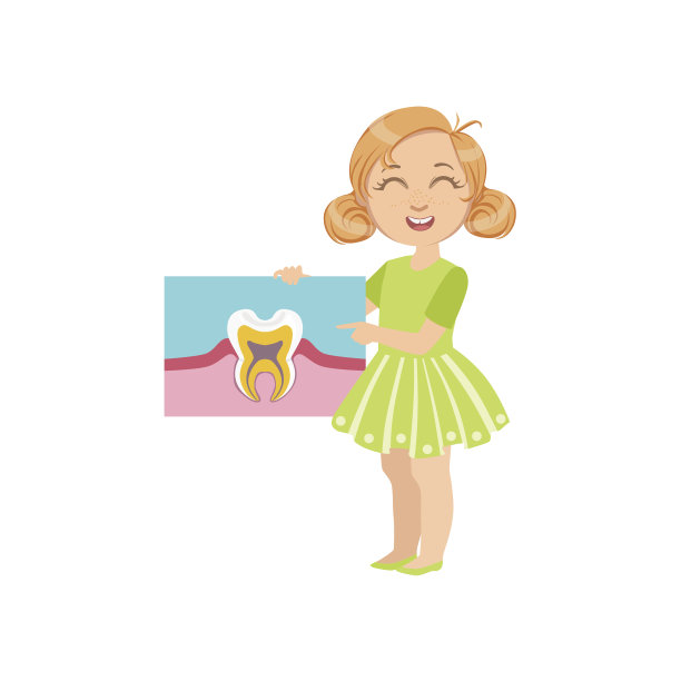 女孩持有牙齿解剖经典绘画图片下载