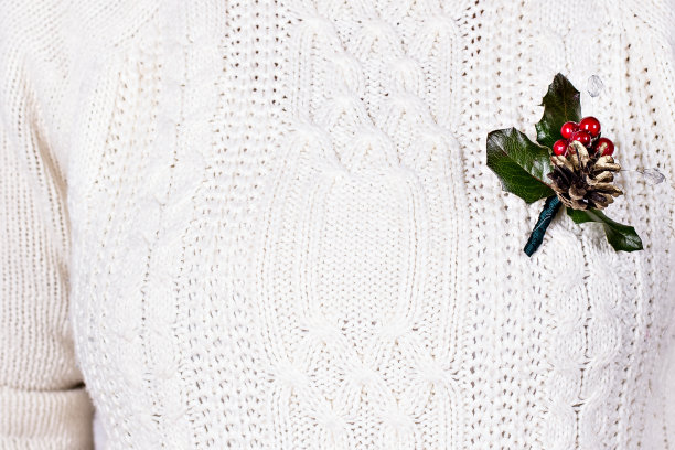 圣诞装饰。圣诞节的小花。图片下载