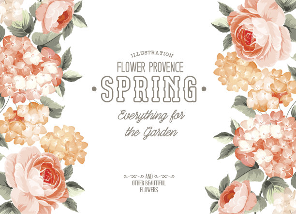 优雅的花卡图片下载