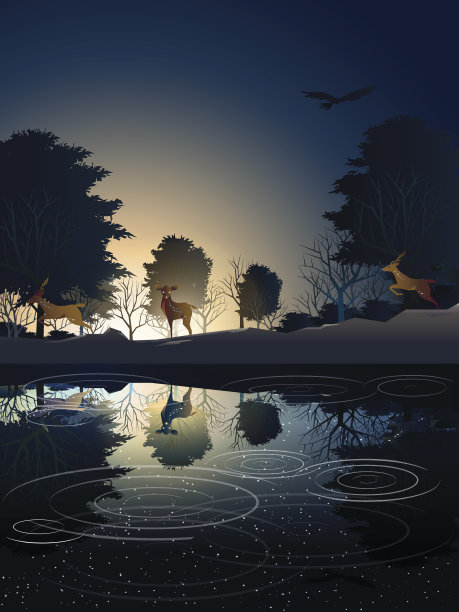 日出时，动物在湖附近的树林深处素材图片