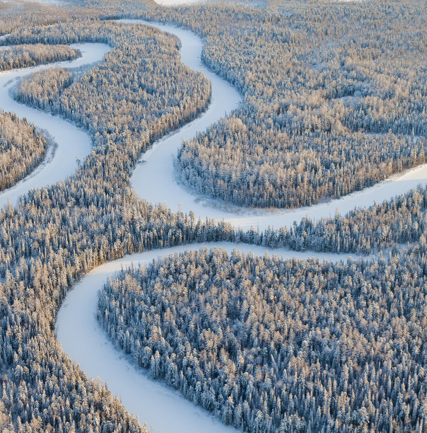 顶视图森林河在霜冻的一天图片下载
