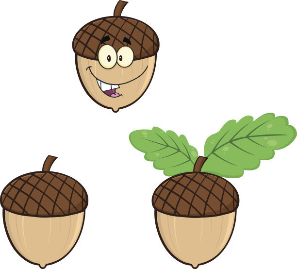 收集橡子- 3图片下载